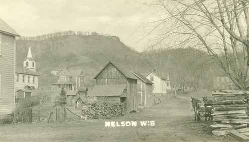 Nelson.1 - Buffalo County Historical Society